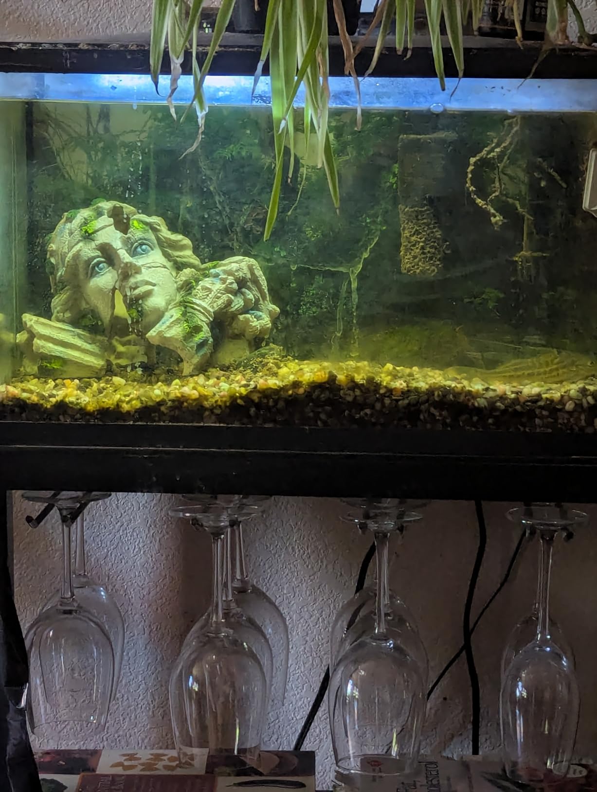 relaqcc Reptile Cave Hideout Tank Accessories Decorations, Aquarium Hideaway Cave Fish Tank Decorations for Amphibians, Betta Fish, Shrimp, Lizards, Leopard Gecko customer photo 1