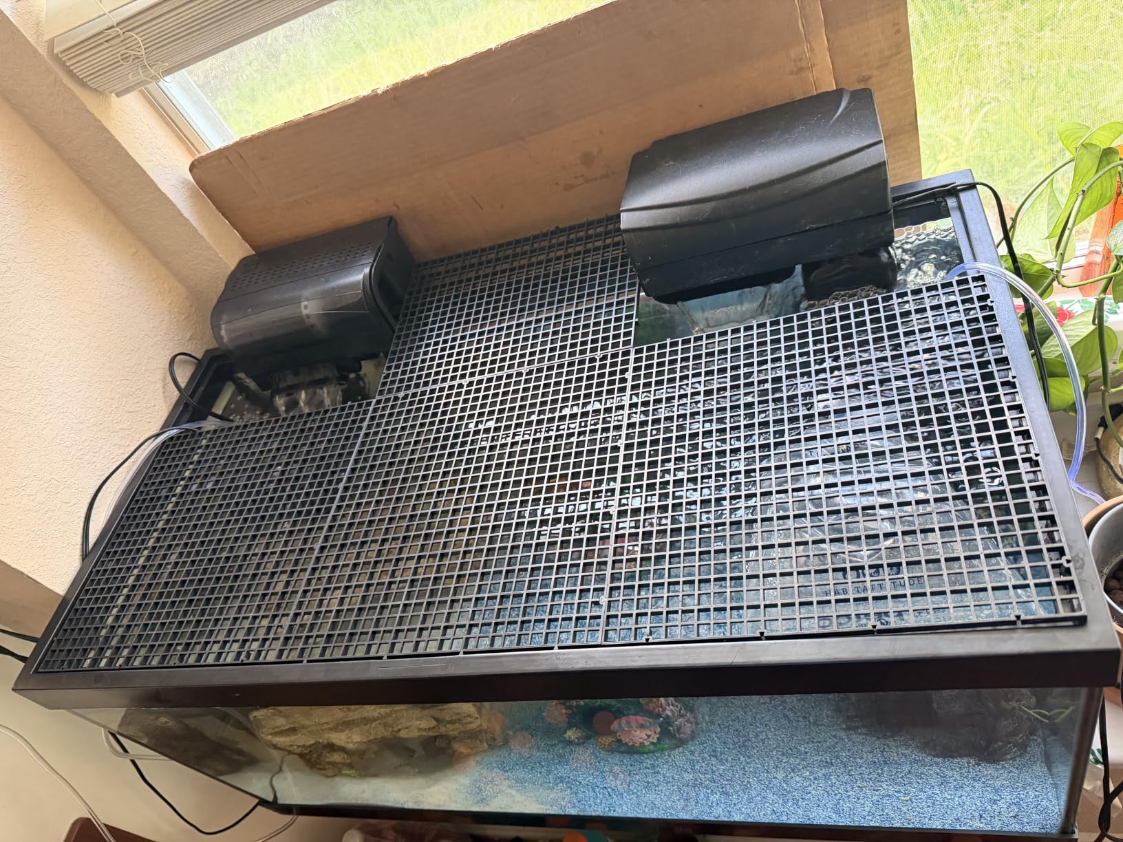 LINLAN 8 Pieces 5.9x11.8in (15X30cm) Aquarium Grid Plastic, Fish Tank Divider, Egg Crate for DIY Filtration and Bottom Protection in Aquascaping customer photo 1