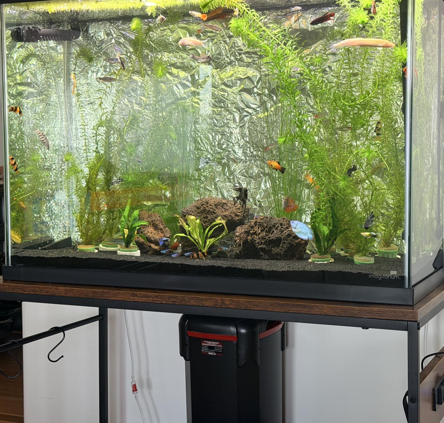 PONDFORSE Canister Filter, External Aquarium Filter Ultra-Quiet with Media, Adjustable Flow Rate customer photo 1