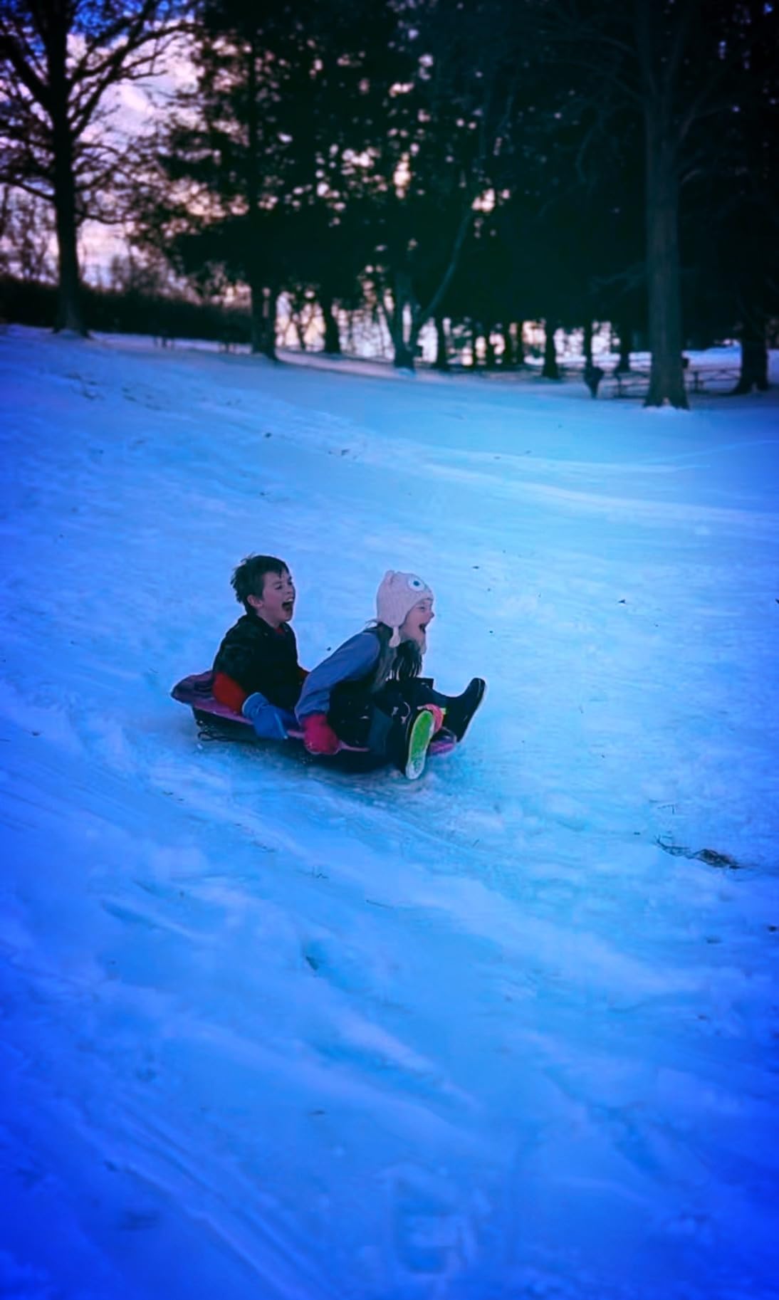 Pelican Nomad 40 Sled - 4 Season Sled - Any Outdoors Activities - Carry Up to 90 lb customer photo 1