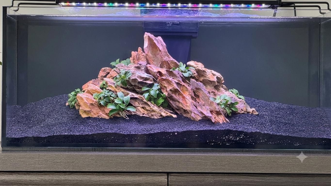 Aquarium Rocks Dragon Stone Natural Hardscape Stone for Aquariums, Fish Tanks, Bonsai, Terrariums, Wargaming Dioramas, Indoor or Outdoor Gardens-5lb(2-6 Inch) customer photo 1