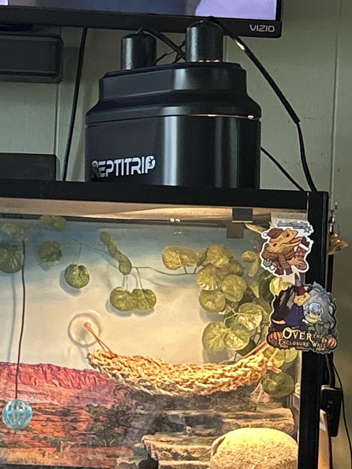 Dual Reptile Light Fixture with Switches, Reptile Heat Lamp Fixture, Reptiles Terrarium UVB Bulb Fixture for Bearded Dragon, Max 160W Each (Bulb Not Included) customer photo 2