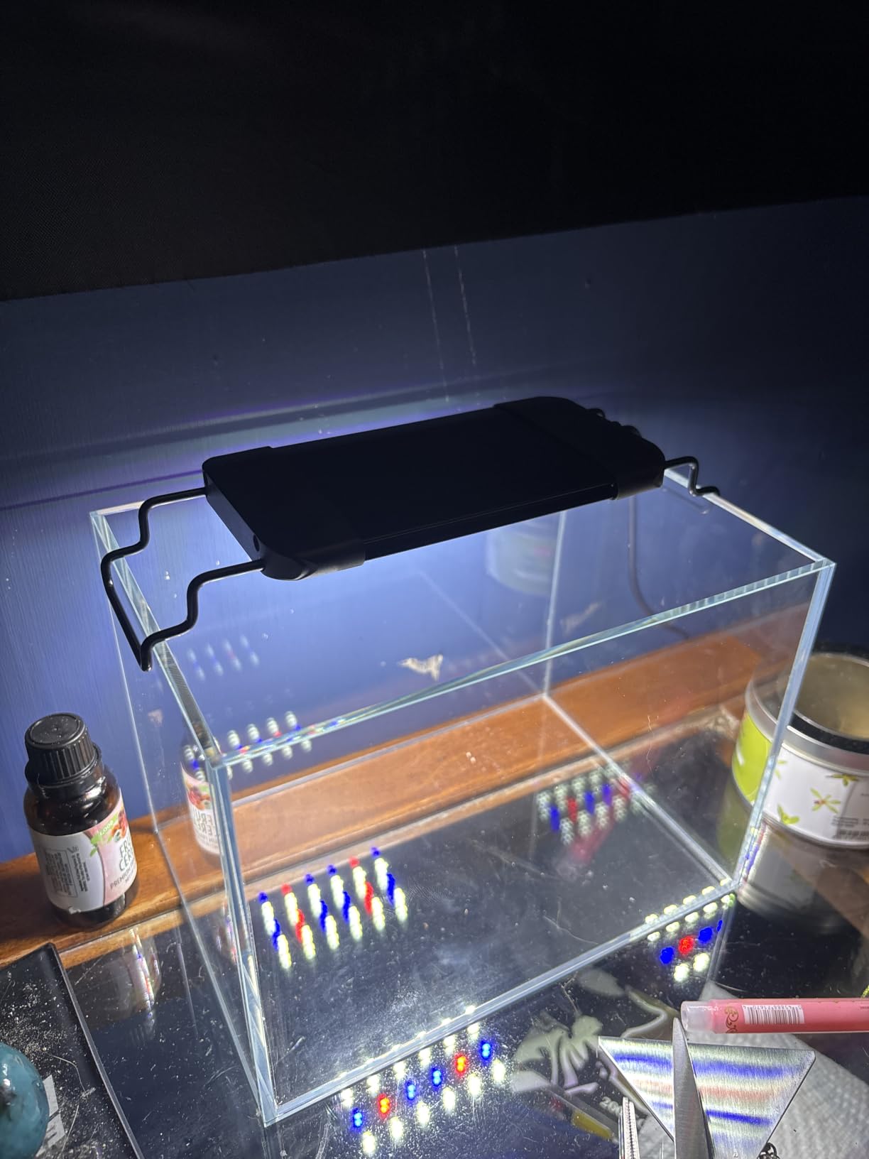 Pawfly 6 W Terrarium Light for 6