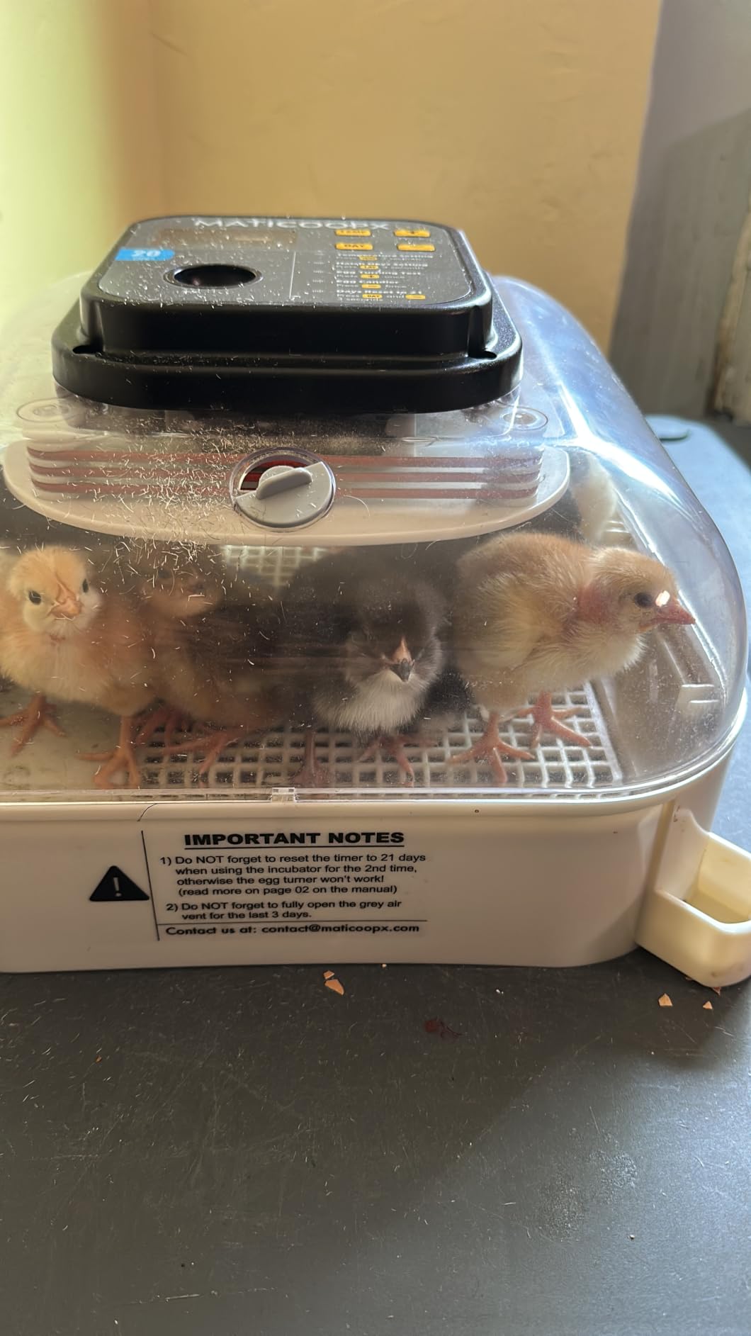 MATICOOPX 20 Egg Incubator with Humidity Display, Egg Candler, Automatic Egg Turner customer photo 1