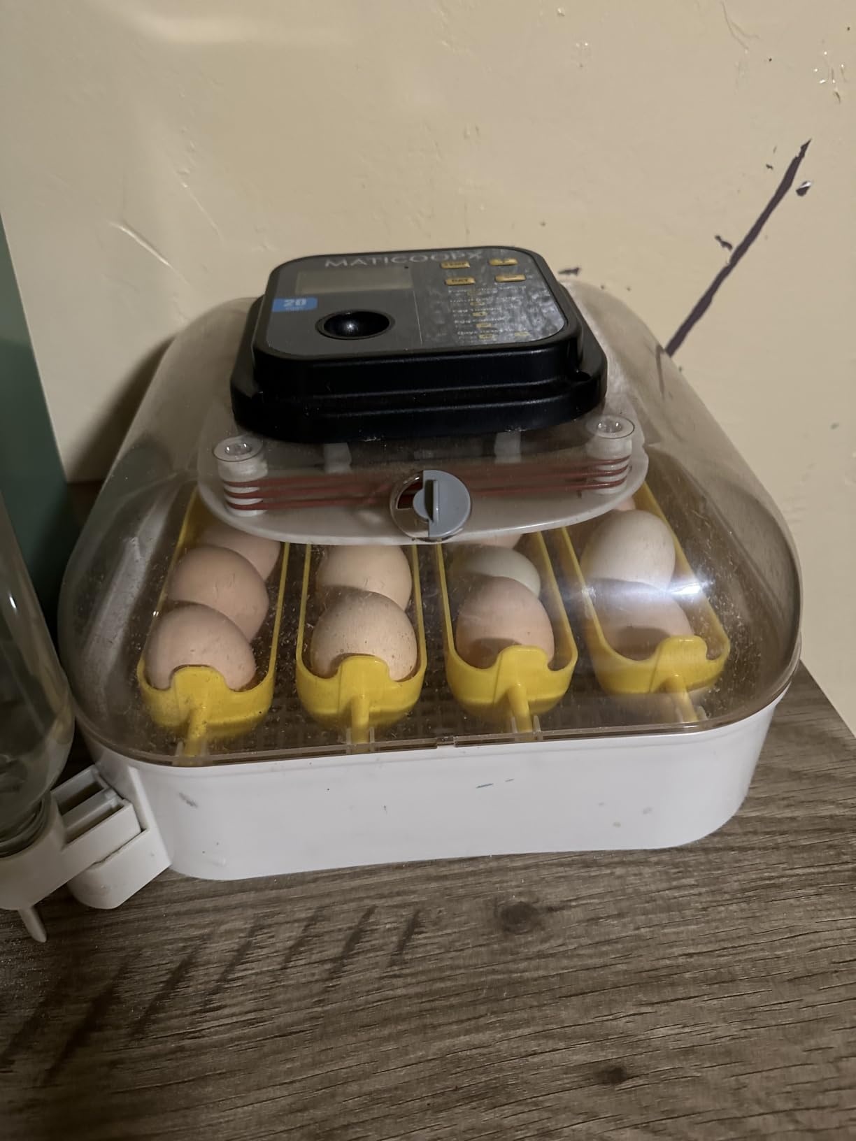 MATICOOPX 20 Egg Incubator with Humidity Display, Egg Candler, Automatic Egg Turner customer photo 2