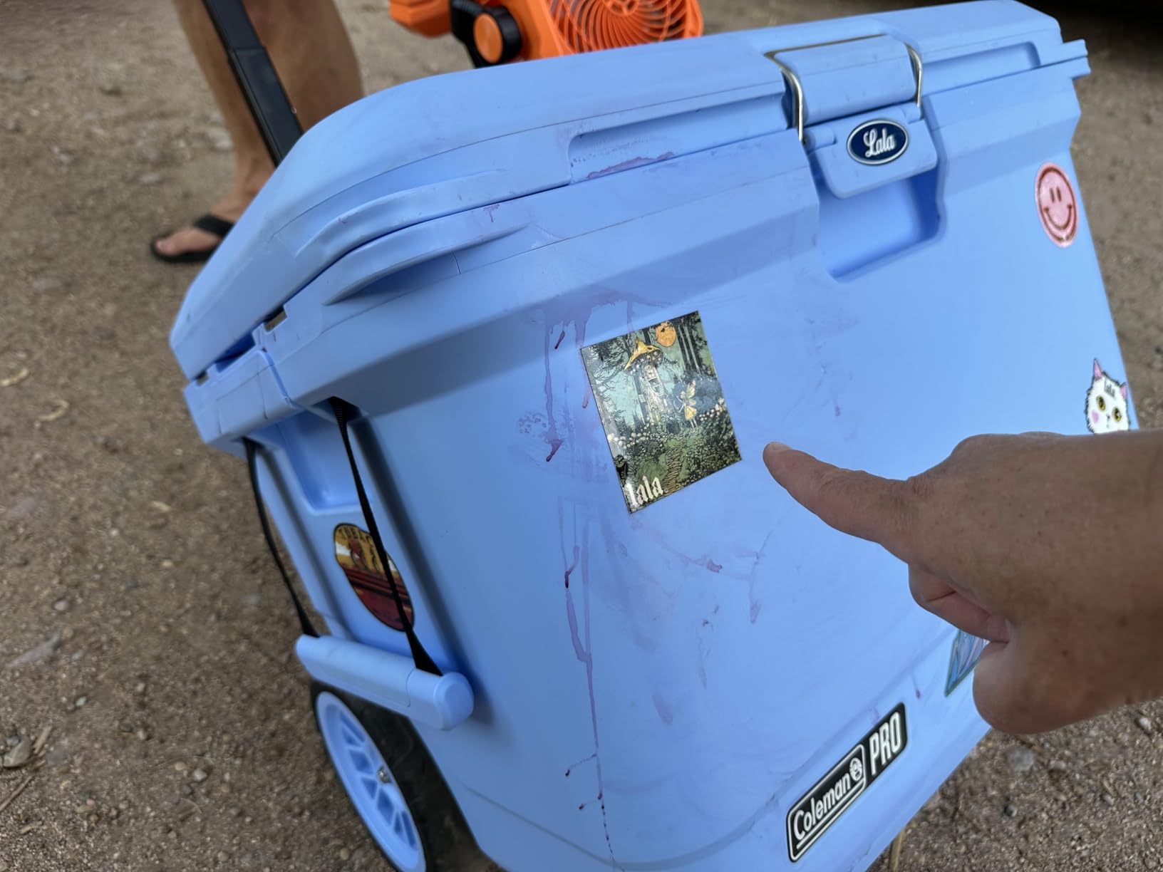 Coleman Pro Heavy-Duty 45qt Ultra-Light Premium Hard Cooler, Extra-Thick Insulation Keeps Ice up to 4 Days customer photo 2