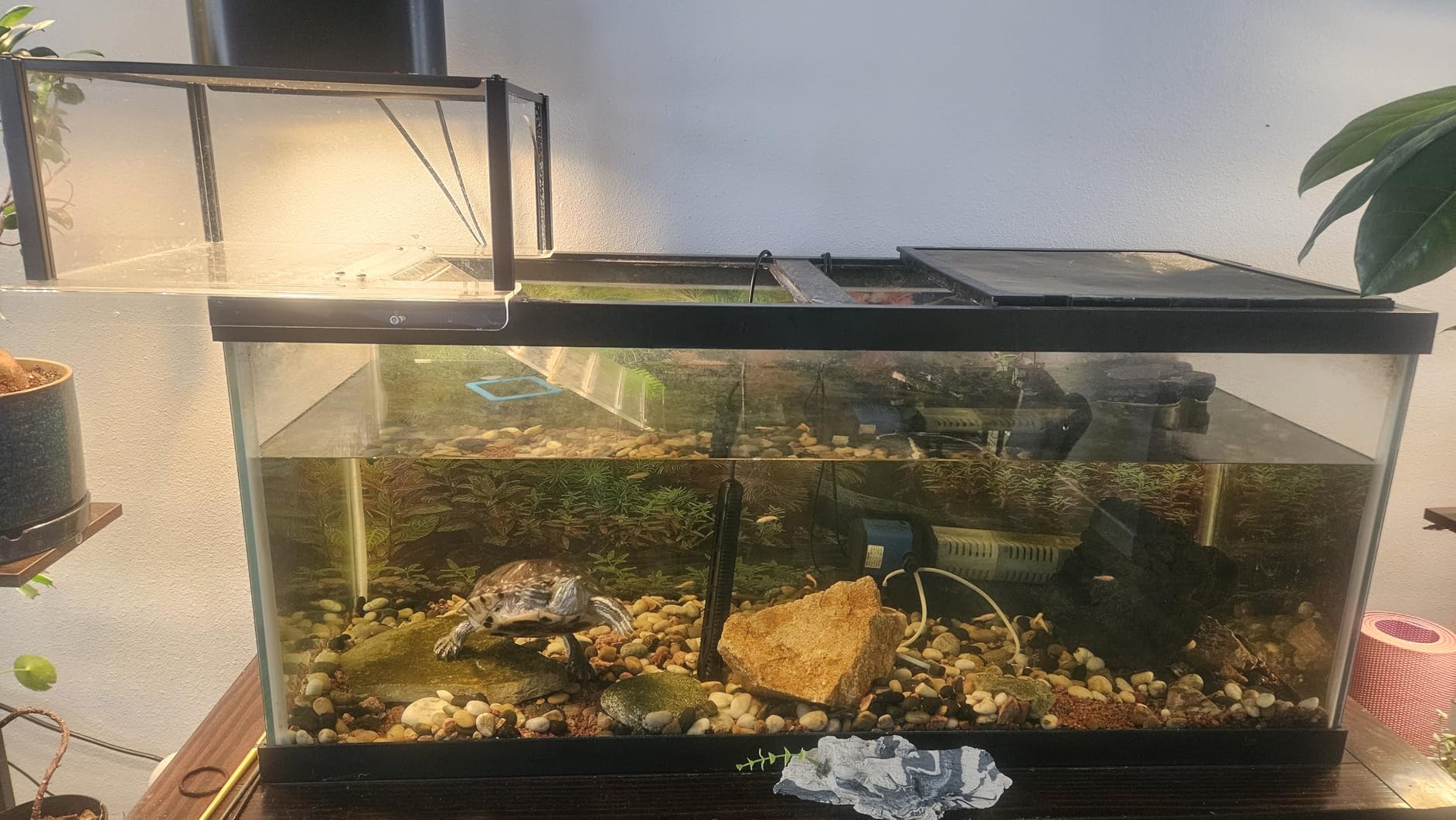 Turtle Basking Platform Large for 10-13.5in Wide 10/20/29/55 Gal Aquariums | Above Tank Topper for Aquatic Turtles, Sturdy One-piece Base, 4 Pillars Supports, Non-Slip Stepped Ramp, Escape-proof Barriers customer photo 1