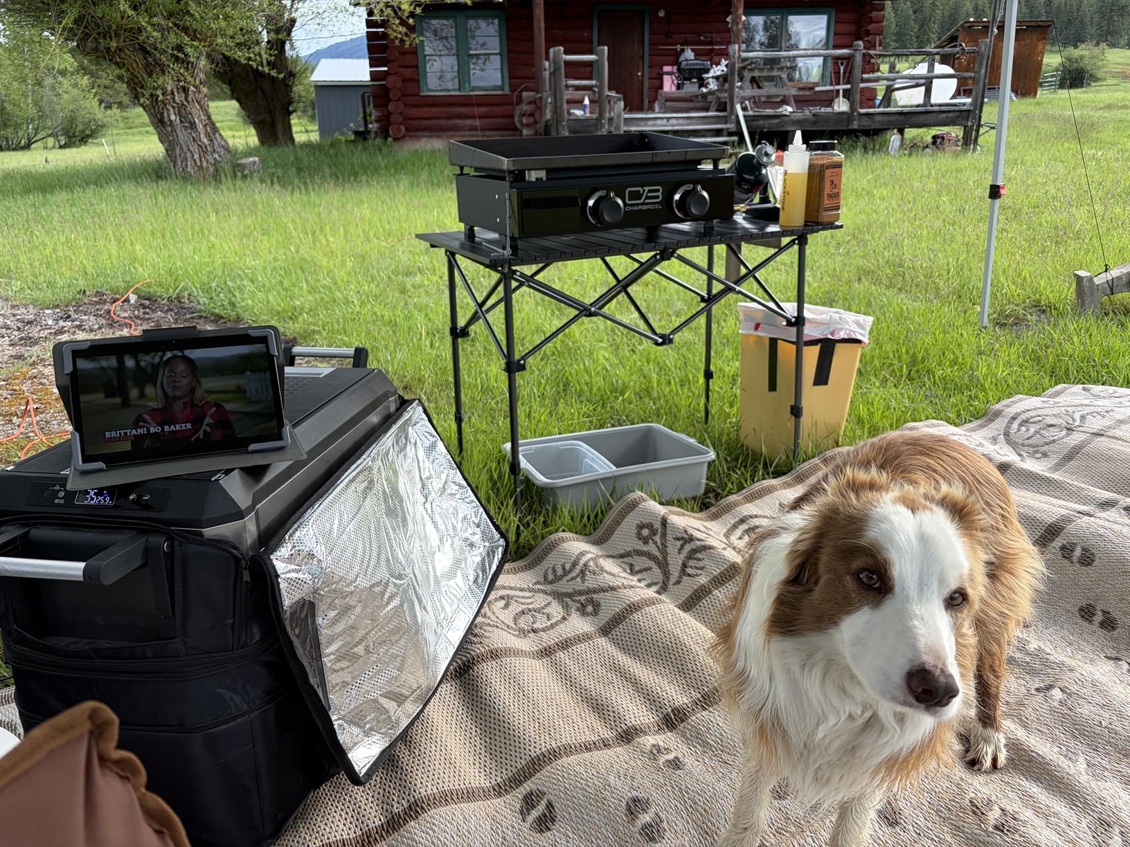Byliable Folding Camping Table, Portable Aluminum Adjustable Height, Black | Roll-Up Camp Lightweight table with Carry Bag, 9 lb Weight, 21.7