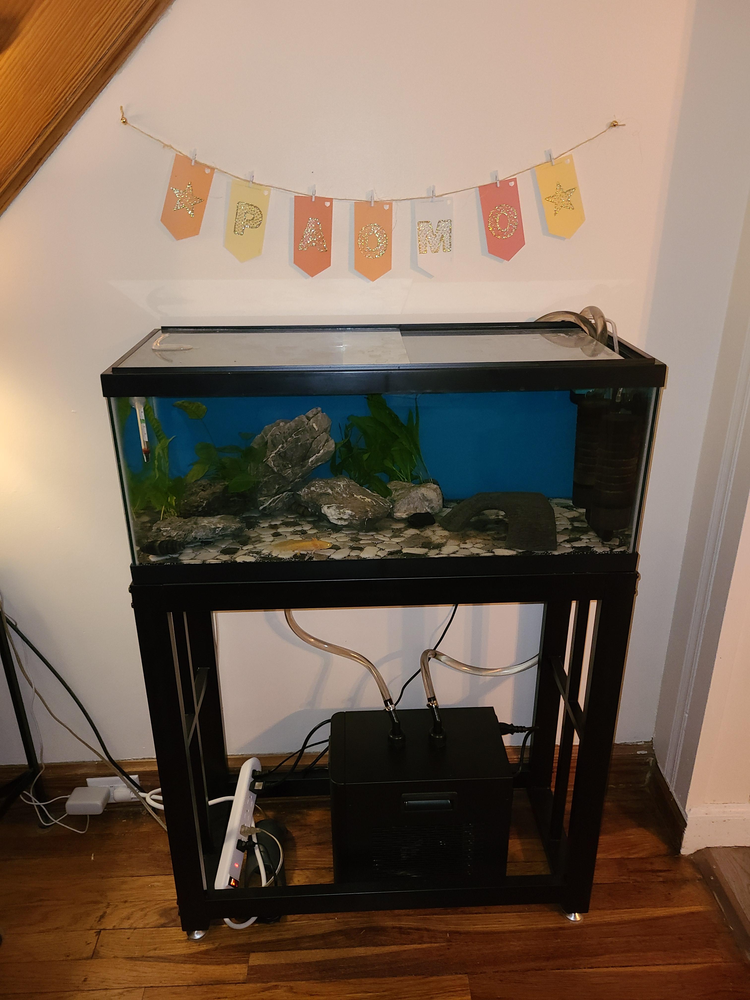 1/13 HP Aquarium Chiller 26 Gallon Fish Tank Water Chiller | Quiet Compressor Refrigeration, Precise Temperature Control, With Pump & Hose, For Axolotls Coral Reef and Hydroponics customer photo 1