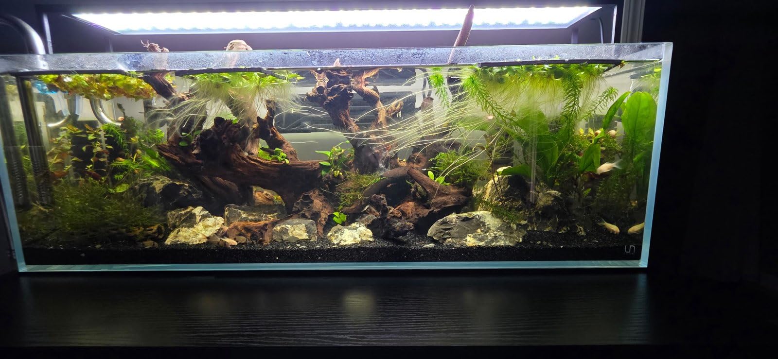 MagTool Aquarium Auto Top Off System, Upgraded Version Aquarium ATO with Dual Optical Sensor for Both Reef and Fresh Tanks(Duetto V2026) customer photo 2