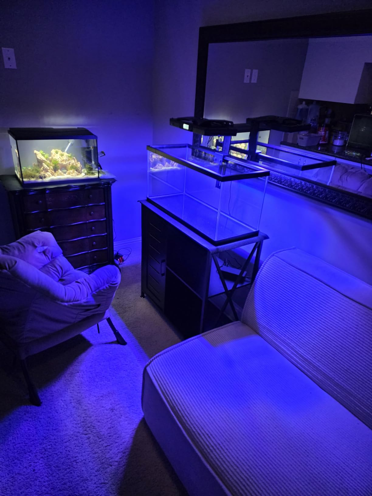 SEAOURA 120W Reef Light for Corals Saltwater Aquarium Tank SR-691 | 395-665nm Full Spectrum, WRGB 5 Channel Programmable, 3 Timer, Smart Quite Cooling, Vibrant SPS LPS Color & Fluoresce customer photo 1