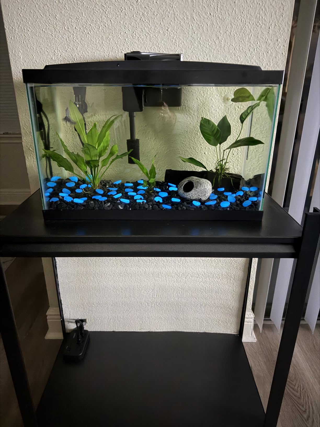 Aqueon Aquarium Starter Kit with Smart Clean Filtration and LED Lighting, Freshwater and Saltwater Fish, 20-Gallon customer photo 1