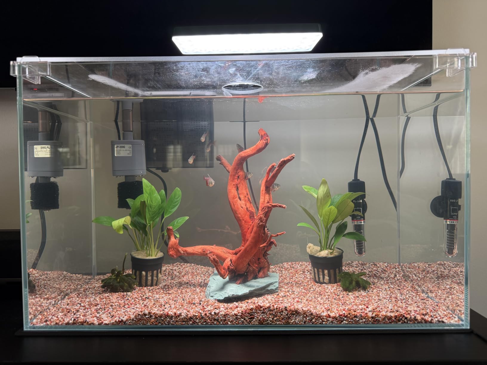 Vimvins 10 Gallon Glass Small Fish Tank with Filter Light and Lid, Aquarium Starter Kit customer photo 1