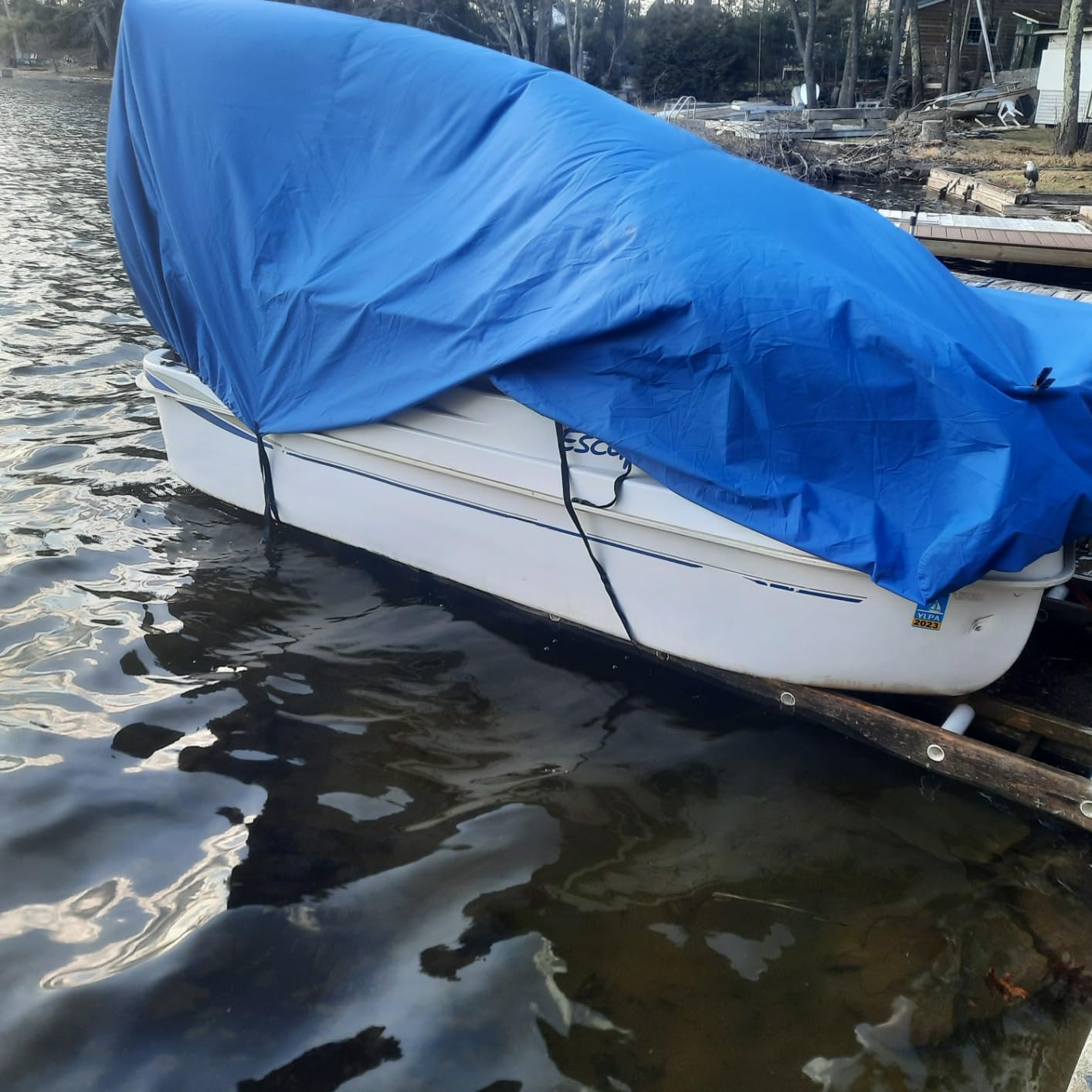 DITEC Hull & Bottom Marine Cleaner, Descaler Removes Barnacles Scale, 32 oz customer photo 2