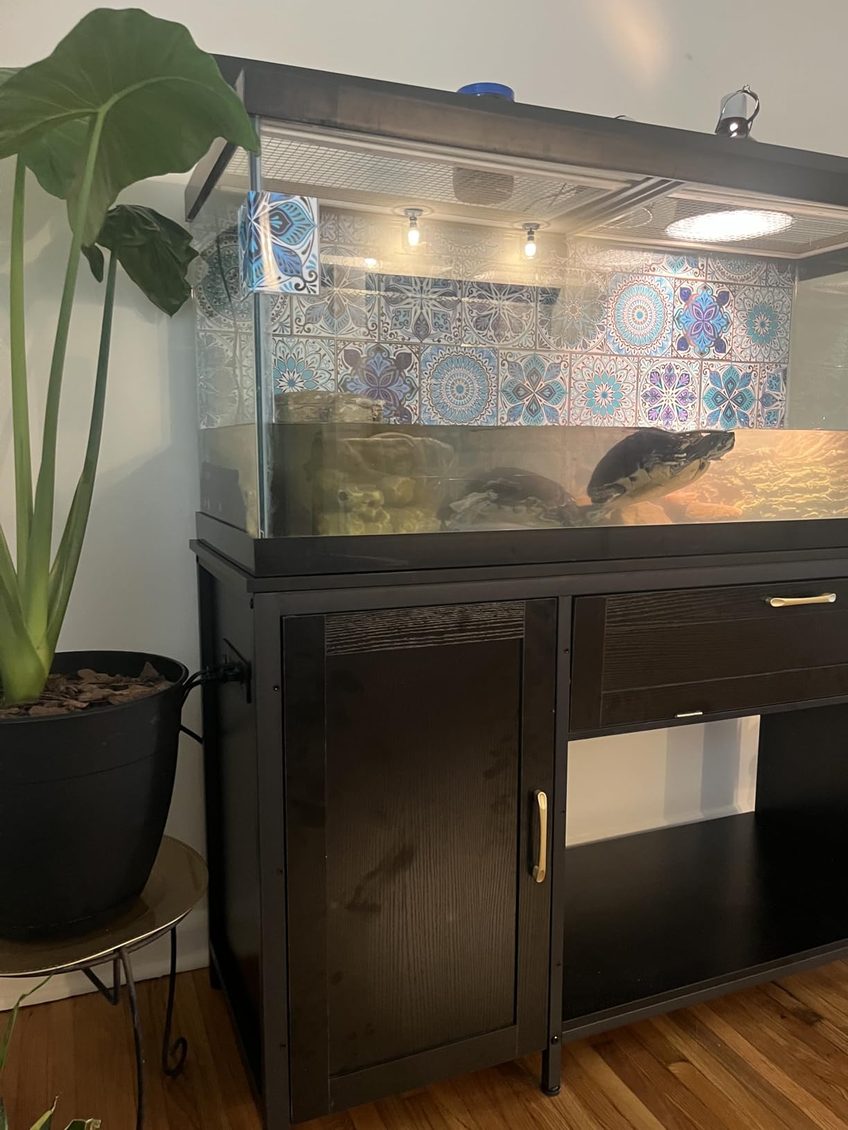 Bestier 40-50 Gallon Aquarium Stand with Power Outlet & LED Light, Black | 5-In-1 Outlet, Max Load 726Lbs, 22 Modes & 7 Colors Light, Heavy-Duty Metal Legs, Storage Cabinet & Drawer, Adjustable Shelf customer photo 1
