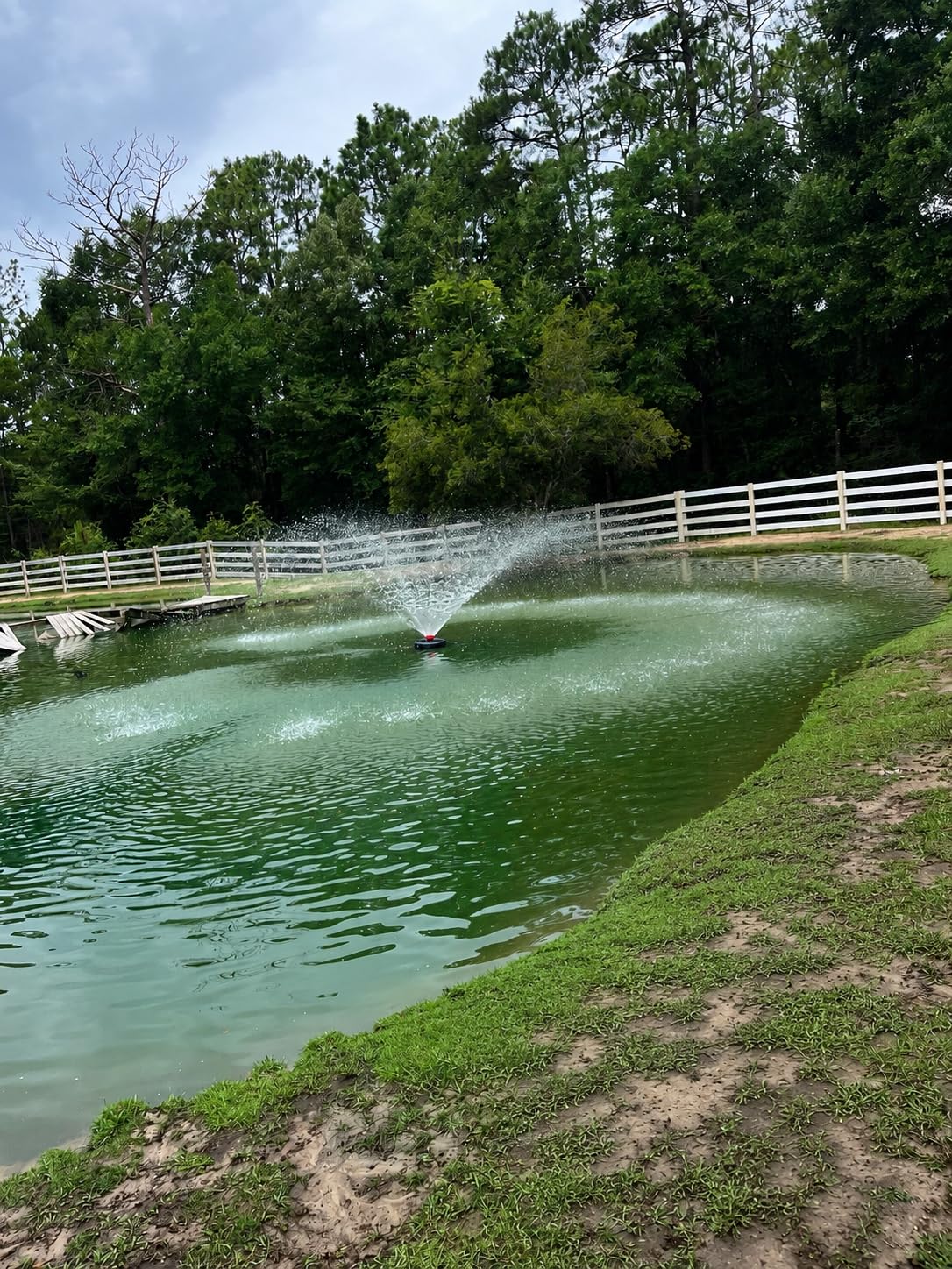 Pond Fountain Aerator, 1HP 110V 750W 15000 GPH Floating Fountain Pump with 100 FT Power Cord, 2 x 100 FT Rope, Timer, Fully Automatic Powerful Aerating Fountain for Larger Ponds, Lakes customer photo 1