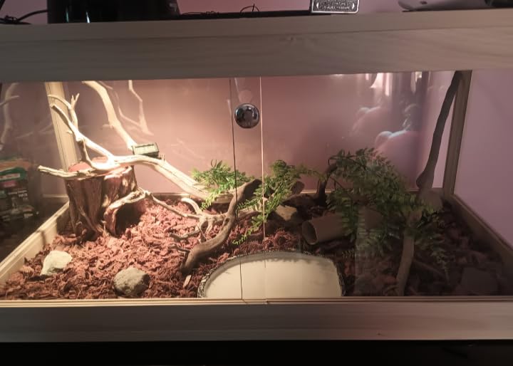 82 Gallon Bearded Dragon Tank, 48 x 20 x 20 Inch Tempered Glass Reptile Enclosure with Metal Mesh Top, Lockable Sliding Front Doors customer photo 2