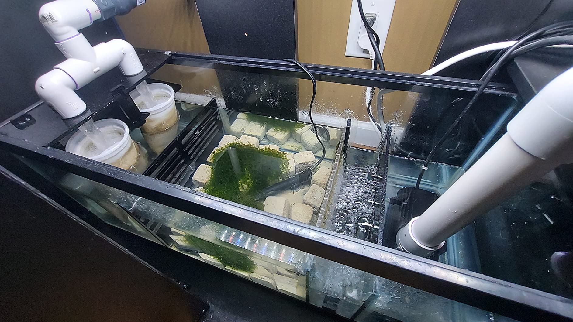 Adjustable Sump Baffle Kit - Refugium Kit for 10 Gallon Tank - Reef Aquarium - Saltwater Aquarium Filter System- Protein Skimmer Sump customer photo 2