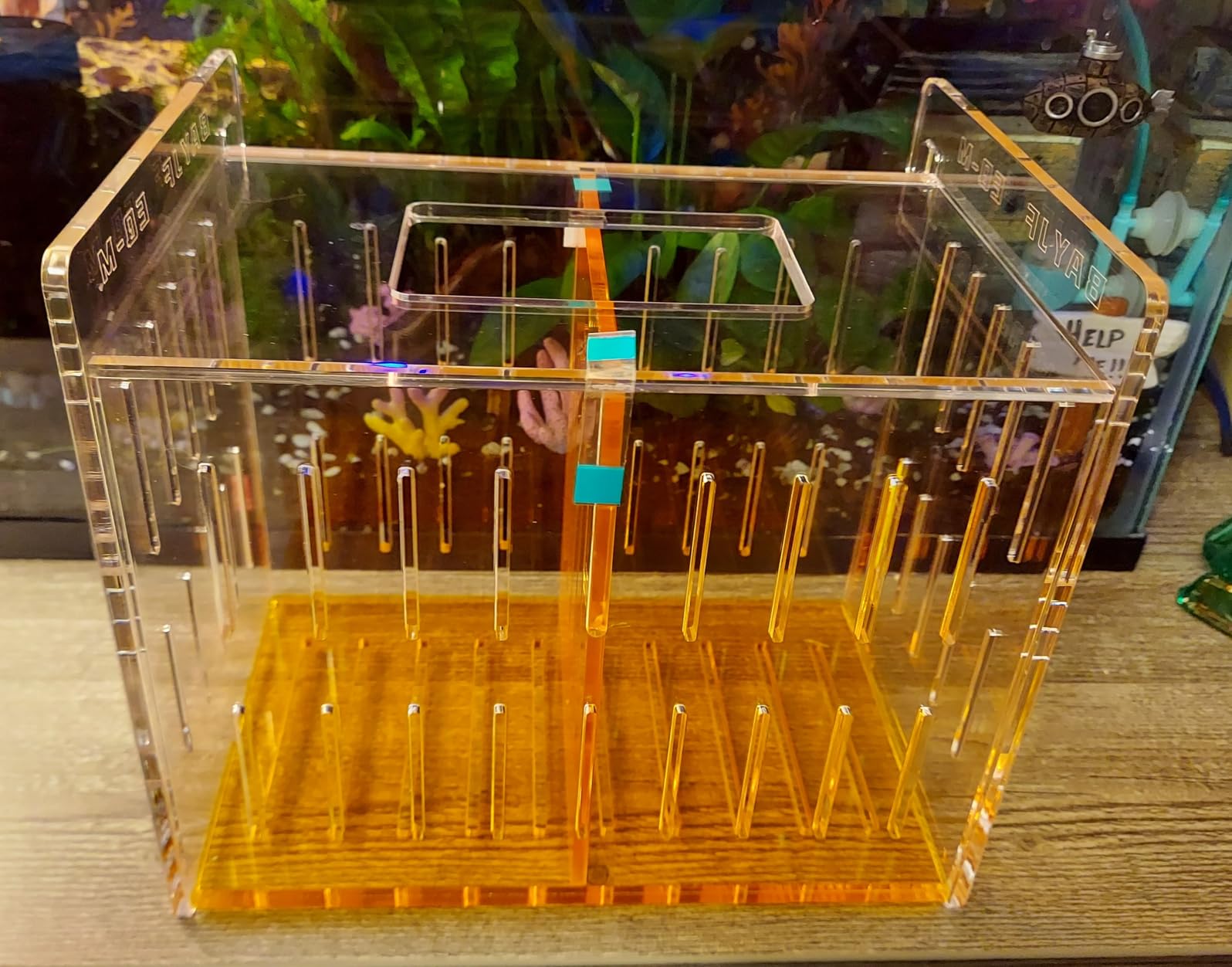 Acrylic Acclimation Box for Saltwater Fish and Reef Coral Quarantine Isolation Box for Aquarium Fish Hydroponic Plant External Breeding Box customer photo 1