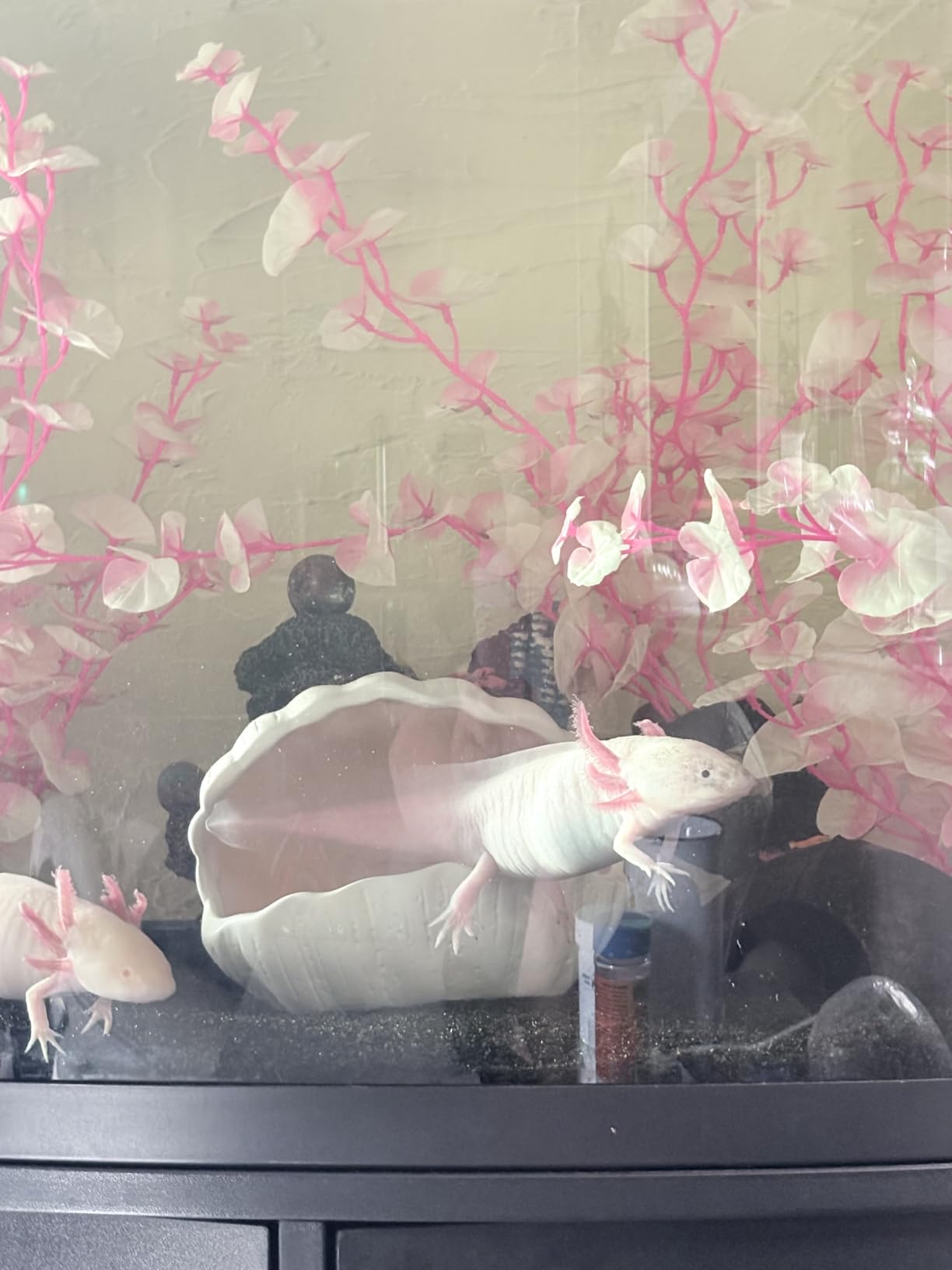 Axolotl Hide Shell Shape Ceramic Fish Tank Cave, Double Sided Glaze, Fish Tank Decor Shelter for Small Pet Frog Fish Betta (Extra Large, Pink) customer photo 1