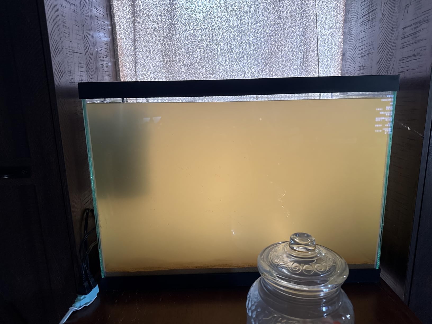 20 Gallon Glass Aquarium - 24 x 12.5 x 17.25 in - Large Clear Rectangular Rimmed Freshwater/Saltwater Fish Tank for Betta, Goldfish, Guppy, Shrimp for Home or Office Aquascaping customer photo 1