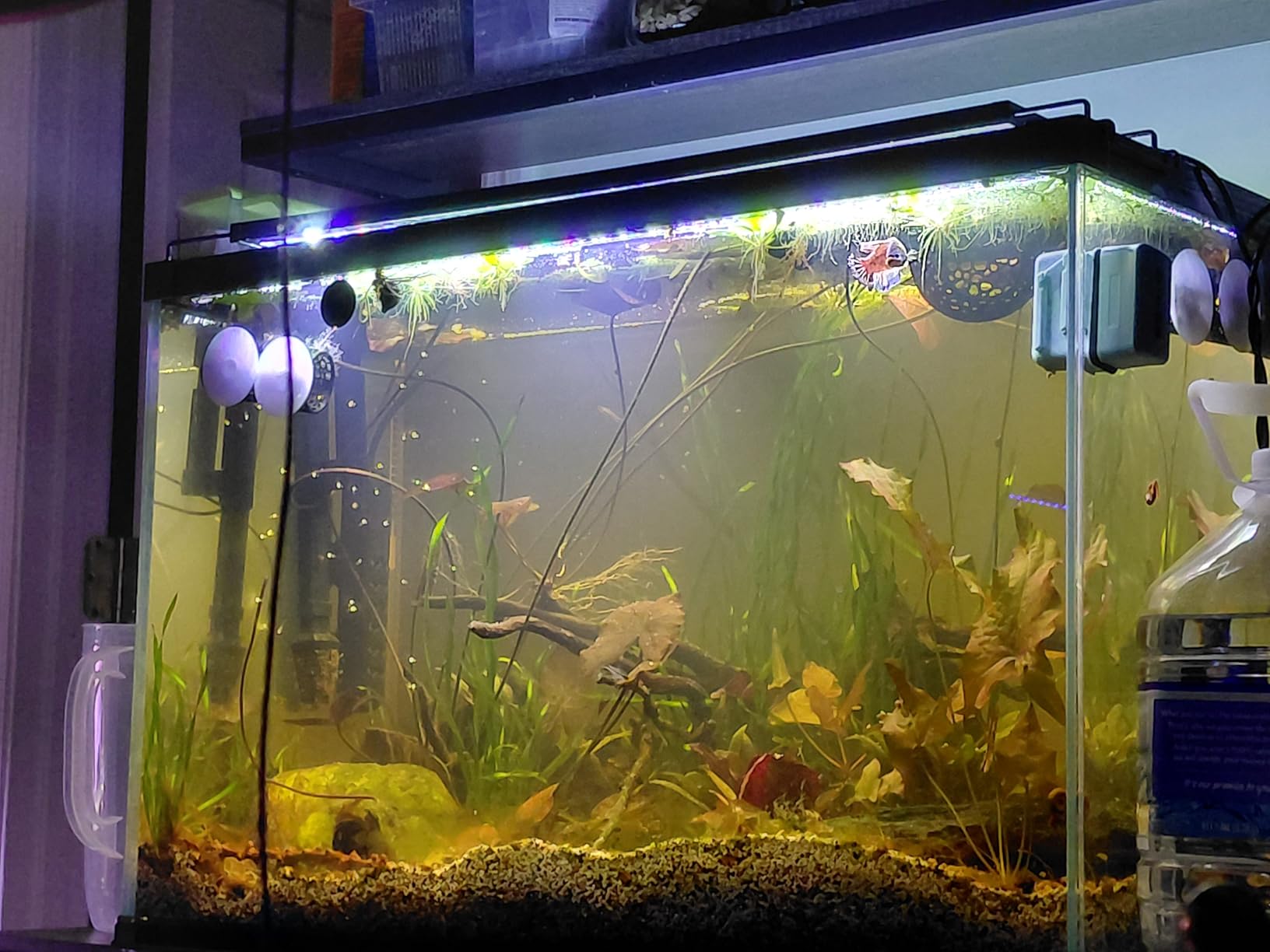 Ultra Clear Glass Aquarium Thickened Large Fish Tank (29 Gallon) customer photo 1