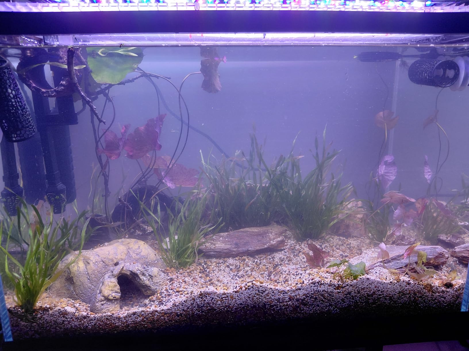 Ultra Clear Glass Aquarium Thickened Large Fish Tank (29 Gallon) customer photo 2