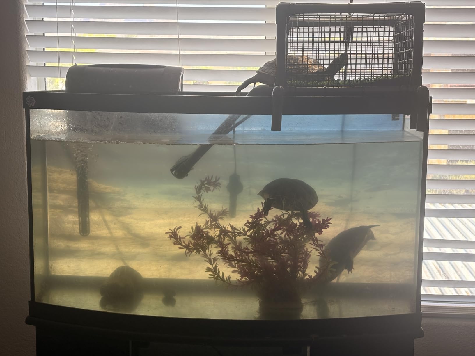 Elevated Turtle Basking Platform Above Tank, Turtle Topper Dock with Non-Slip Ramp and Grass, Extra Large Loft for 18-20 inch Wide 75/90/125 Gal (Grey/Black) customer photo 1