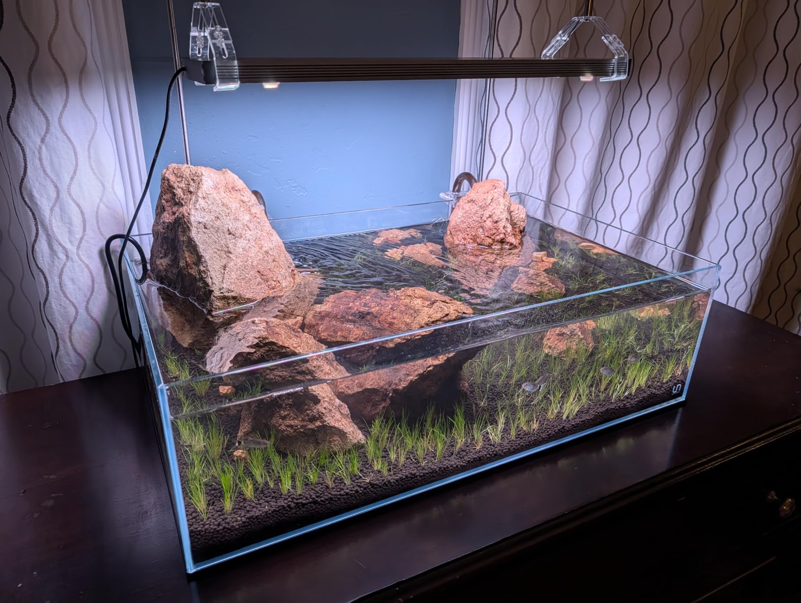 FZONE 2.5L Upgraded Aquarium CO2 System with Complete Accessories, CO2 Generator kit with Integrated Solenoid & Bubble Counter, Safety Valve, Main Switch for Planted Tanks customer photo 2