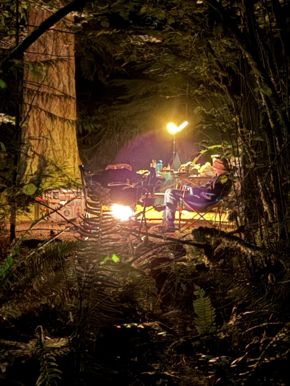 BougeRV Telescopic Camping Light T1, 15600mAh Rechargeable Lantern, Black | 5.5 ft Adjustable Height, 1000x3 Lumens, 8-102H Runtime, 270°/180° Rotation, 3 Color Modes, Honeycomb Cutout Design, Outdoor customer photo 1