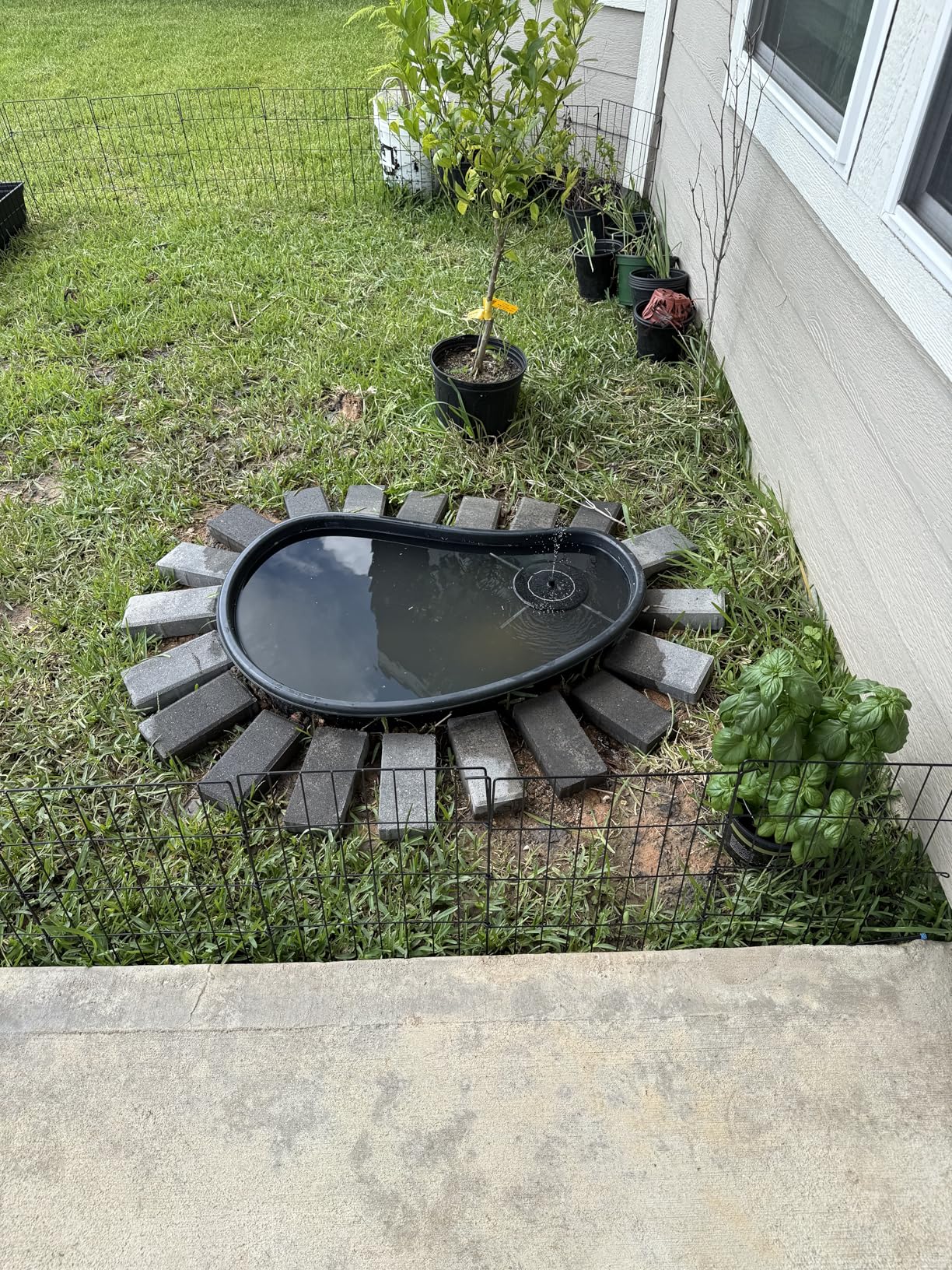 Preformed Pond Liner, 33 Gallon Rigid Plastic Pond Tub Heavy Duty U-V Resistant Basin with Integrated Plant Shelves for Backyard, Garden and Patio Landscaping P797 customer photo 2