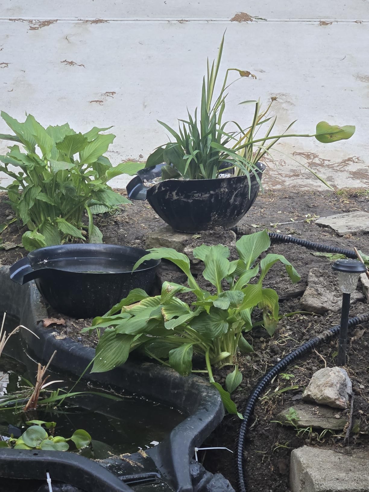 Spillway Bowl and Basin Fountain Kit, Spillway Bowl Fountain with Pond Pump for Formal Waterfall Spillways, Water Gardens Basin Kit For Indoor/Outdoor DIY Water Feature Pond Garden-P721 customer photo 1