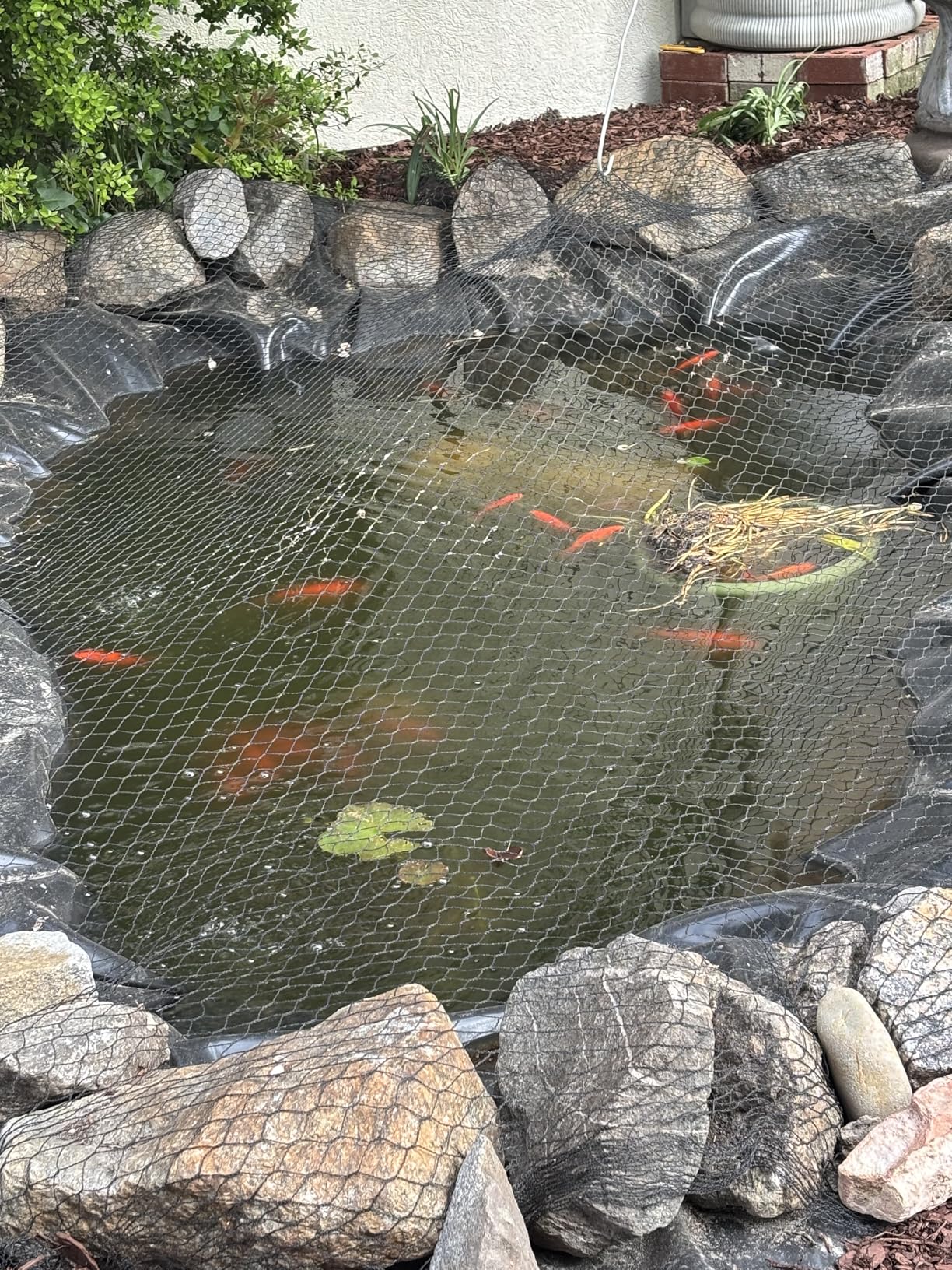 VEVOR 8 x 10 ft Pond Liner, 45 Mil Thickness, EPDM Rubber Material Fish Pond Liner for Outdoor Ponds, Easy to Cut, Durable & Leakproof, for Water Garden, Waterfall, Fishpond, Koi, Fountains, Black customer photo 1