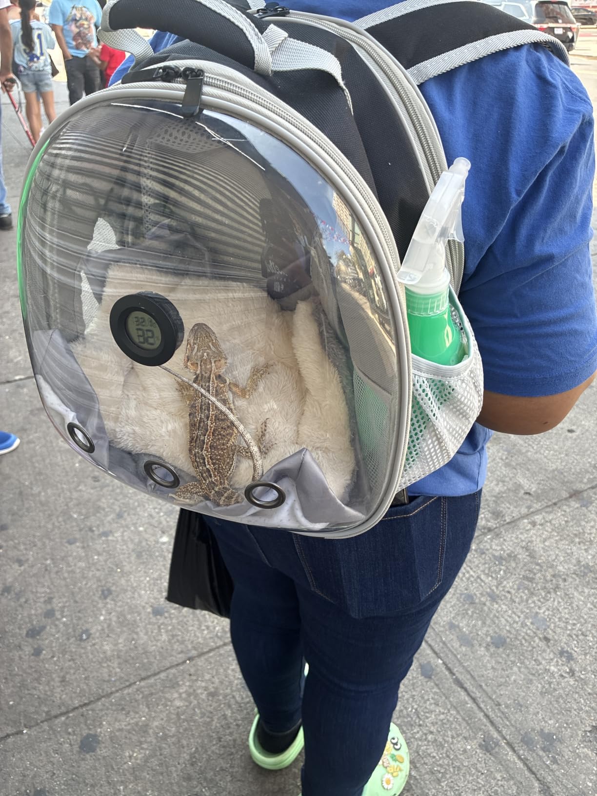 Bearded Dragon Carrier, Reptile Travel Bag with Built-in Thermometer Hygrometer, Breathable Small Animal Carrier with Clear View Window, Portable Guinea Pig Carrier for Gecko, Snake, Hamster customer photo 1