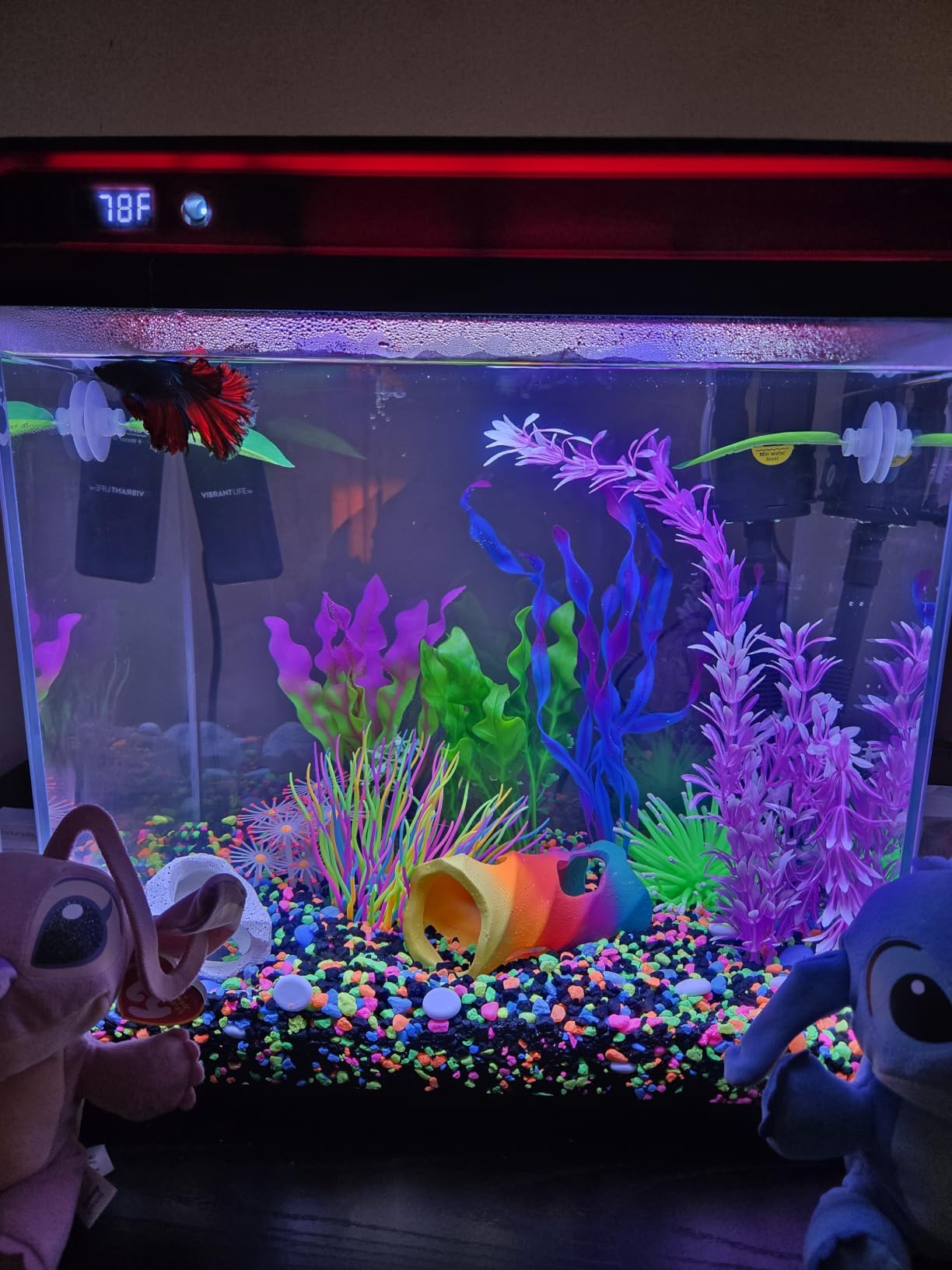 10 Gallon Fish Tank Smart Aquarium Kit, Glass Small Aquarium Starter Kits Self Cleaning with 3 Types of LED Lights and Filter Water Pump, Water Temperature Detection Ultra Quiet Gift for Kid customer photo 1