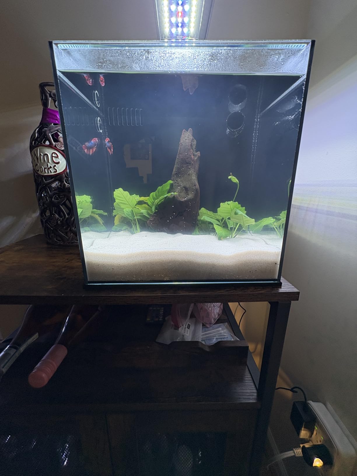 Ultum Nature Systems Dual AIO - Freshwater/Saltwater Compatible, All in One Rimless Tank with Triple Chamber Filtration System, Integrated Filter Aquarium with Leveling Mat - 6 Gallon, 45SA, Black customer photo 2