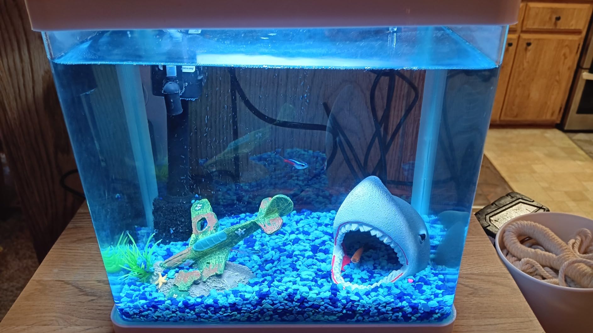 20 Gallon Glass Fish Tank, Betta Smart Aquarium Kit, Large Aquarium Starter Kits Self Cleaning with 3 Types of LED Lights and Filter Water Pump, Water Temperature Detection Ultra Quiet Gift for Kid customer photo 1