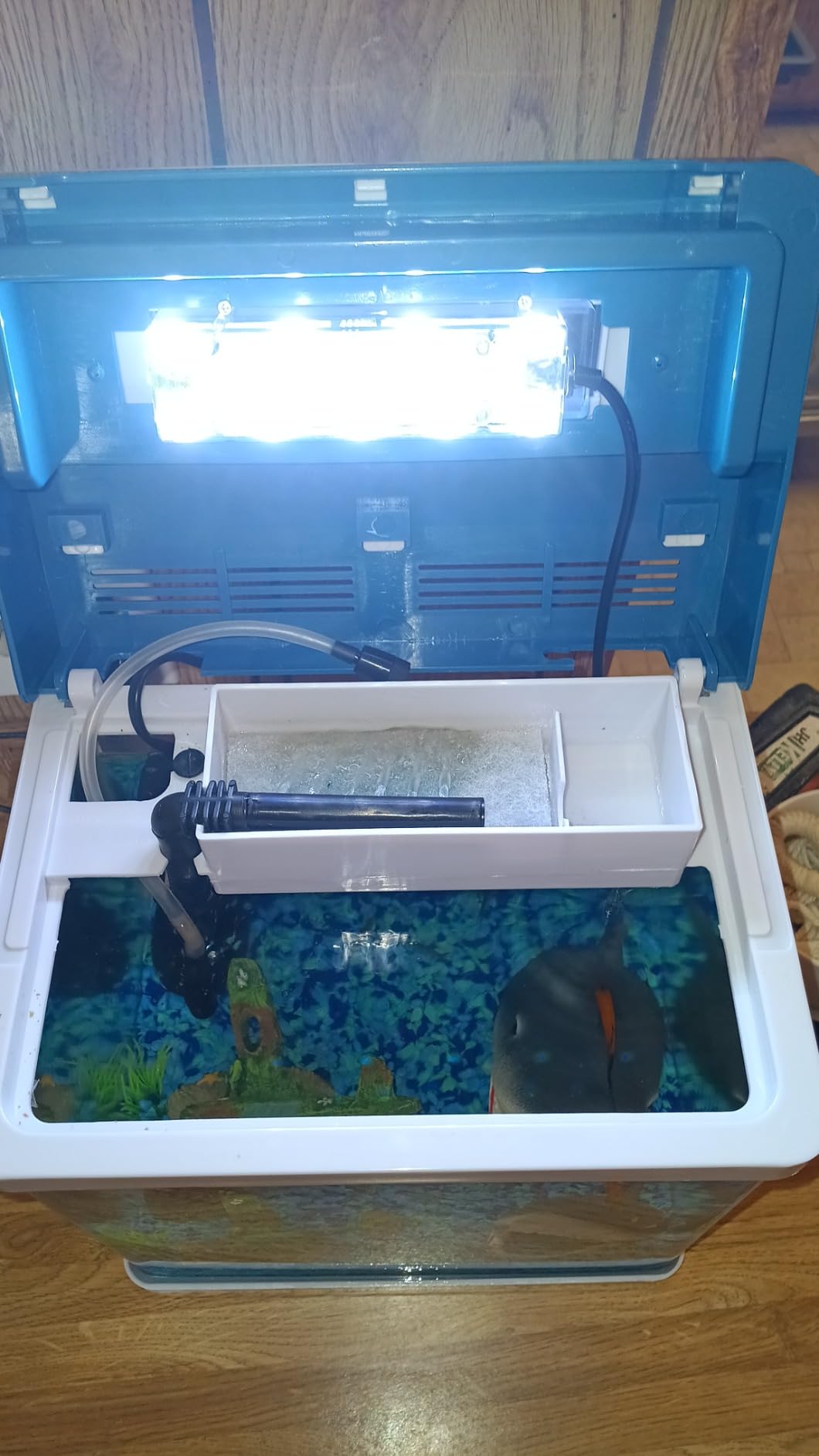 20 Gallon Glass Fish Tank, Betta Smart Aquarium Kit, Large Aquarium Starter Kits Self Cleaning with 3 Types of LED Lights and Filter Water Pump, Water Temperature Detection Ultra Quiet Gift for Kid customer photo 2
