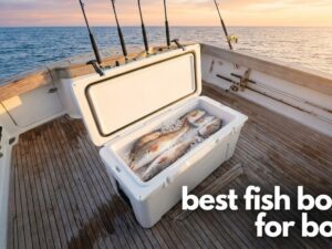 best fish boxes for boats