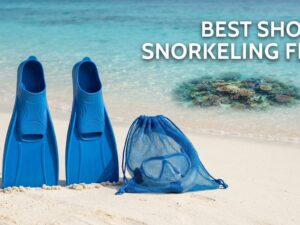 best short snorkeling fins