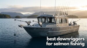 best downriggers for salmon fishing