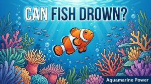 Can Fish Drown? Is This Fact or Myth? (%currentmonth% %currentyear%)