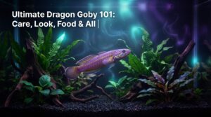 Ultimate Dragon Goby 101: Care, Look, Food & All | 2026