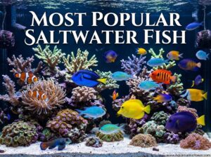 17 Most Popular Saltwater Fish Updated Guide| 2026