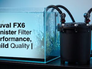 Fluval FX6 Canister Filter Performance, Build Quality |[cy]