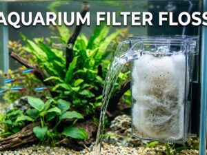 Aquarium Filter Floss 101: Uses, Benefits, Disadvantages