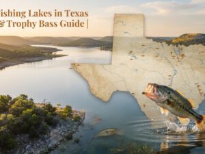 Top 35 Fishing Lakes in Texas Map & Trophy Bass Guide | [cy]