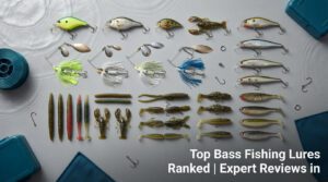 Top 35 Bass Fishing Lures Ranked | Expert Reviews in 2026