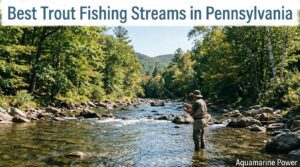 32 Best Trout Fishing Streams in Pennsylvania - Full Guide
