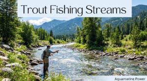 34 Trout Fishing Streams & Rivers in Colorado Map & Guide